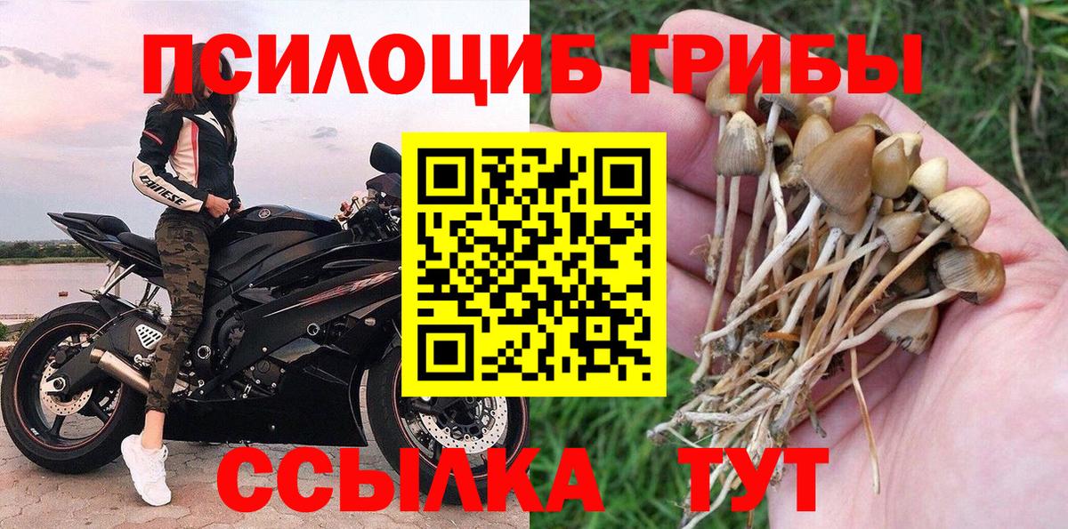Галлюциногенные грибы мухоморы  Вход с VPN  Благодарный 